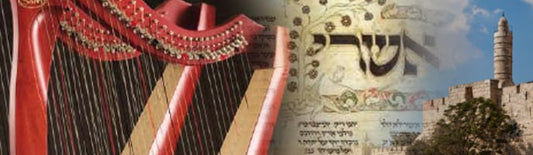 David HaMelech , The King’s Fool or the Model of Mashiach Against Amalek